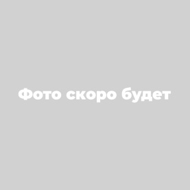 Тротуарная плитка Брусчатка 80 210х105 черный