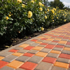 Барнаульский зоопарк «Лесная сказка» Барнаульский зоопарк «Лесная сказка»